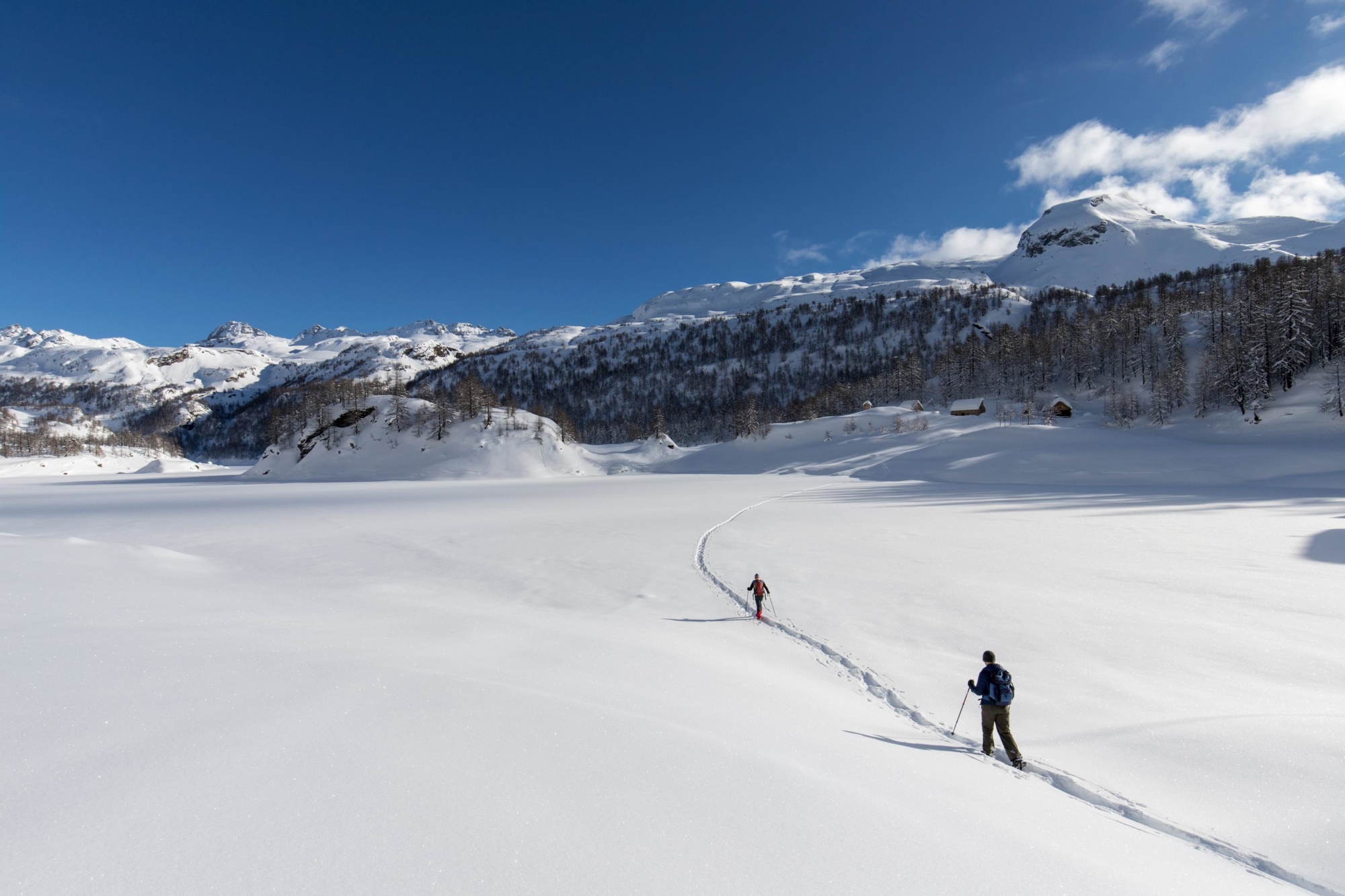 Resultat Ørken At søge tilflugt Snowshoeing in the Ossola Valley - Devero-Crampiolo | VisitOssola