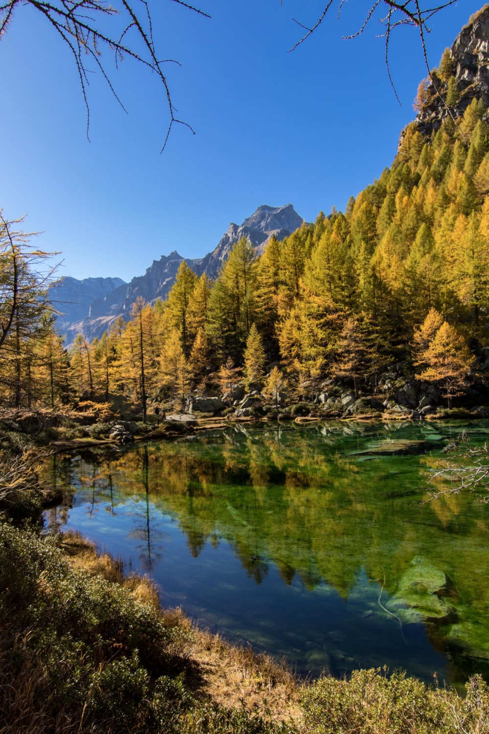 Spytte ud Kræft vækst Hiking in the Ossola Valley - Around Alpe Devero and Crampiolo | VisitOssola